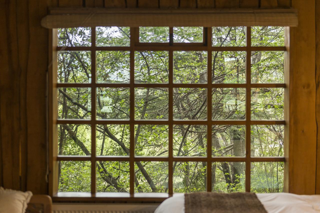 Hotel El Barranco Futaleufú Екстериор снимка